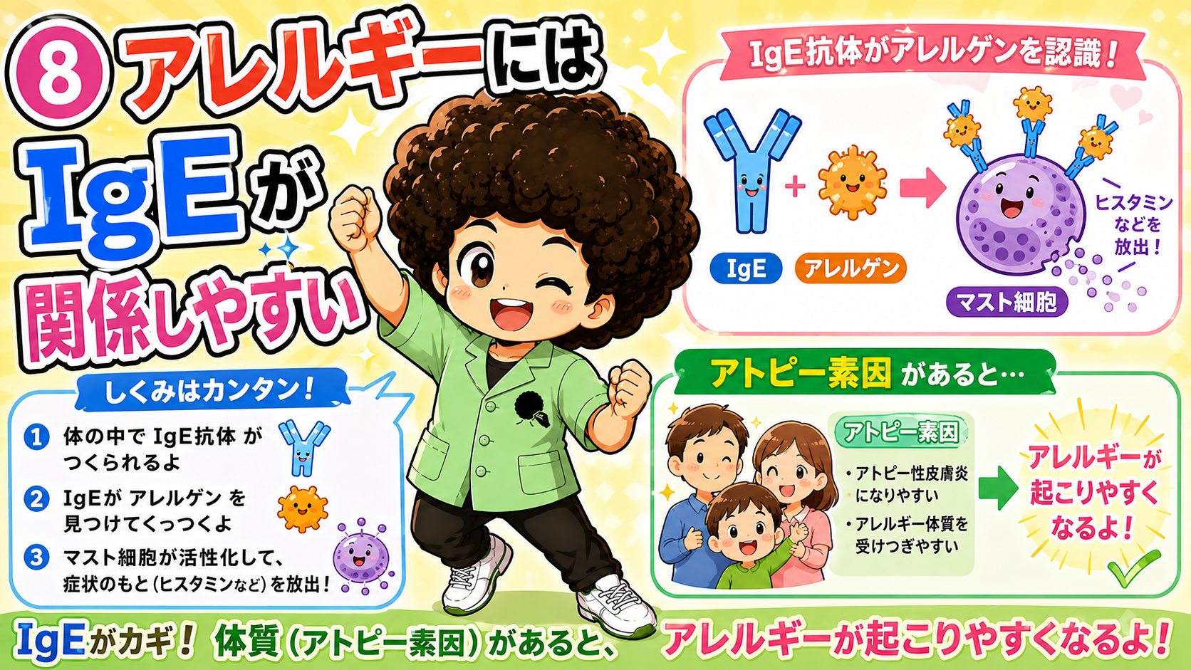 IgE抗体がアレルゲンを認識しマスト細胞がヒスタミンを放出する