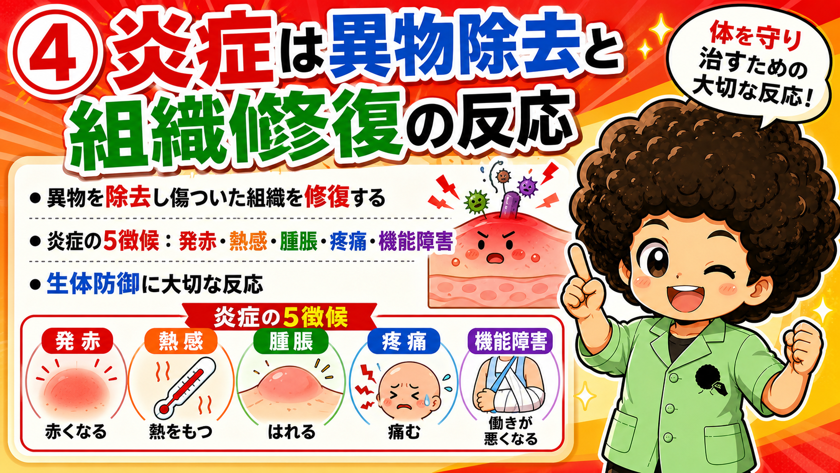 炎症の5徴候＝発赤・熱感・腫脹・疼痛・機能障害