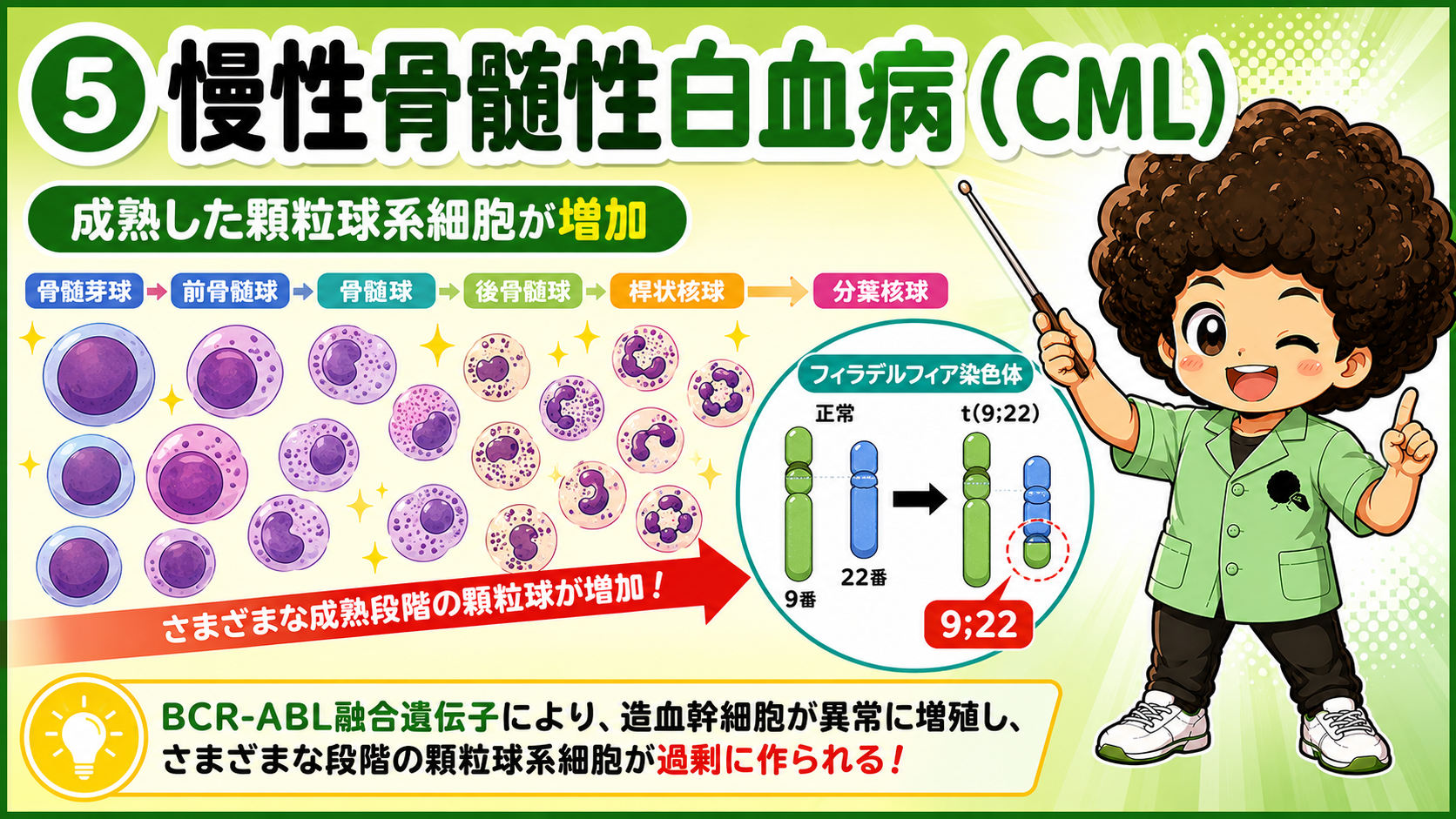 CMLはフィラデルフィア染色体t(9;22)・BCR-ABL融合遺伝子が特徴