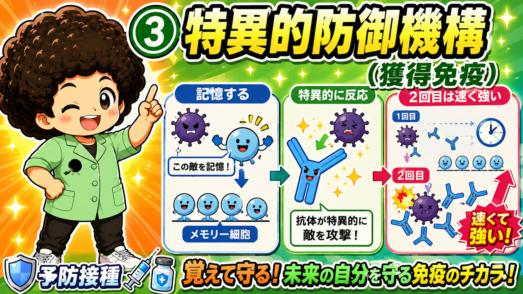 特異的防御機構（獲得免疫）＝記憶する・特異的に反応・2回目は速く強い
