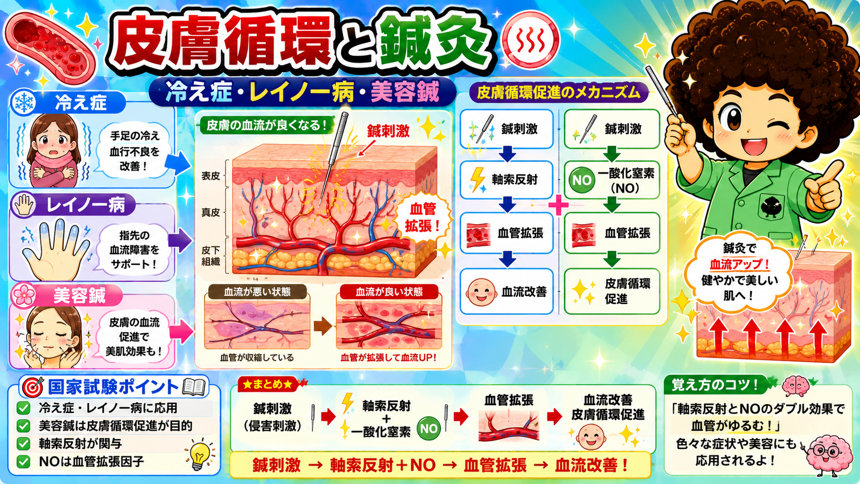 皮膚循環と鍼灸｜皮膚循環と鍼灸 1
