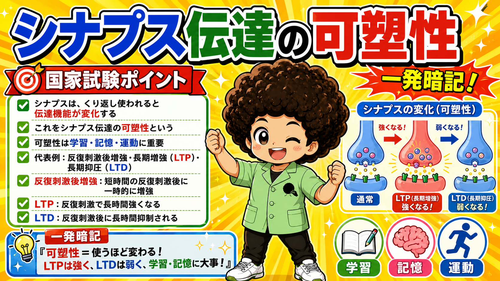 可塑性＝使うほど変わる。LTPは強く、LTDは弱く