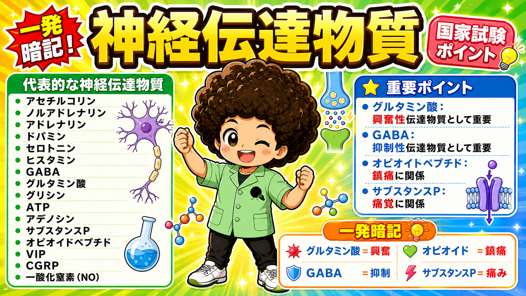 代表的な神経伝達物質。グルタミン酸＝興奮、GABA＝抑制