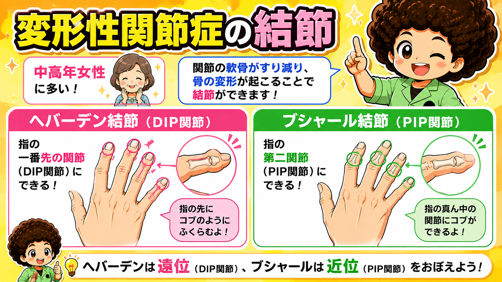ヘバーデン＝DIP（遠位）、ブシャール＝PIP（近位）