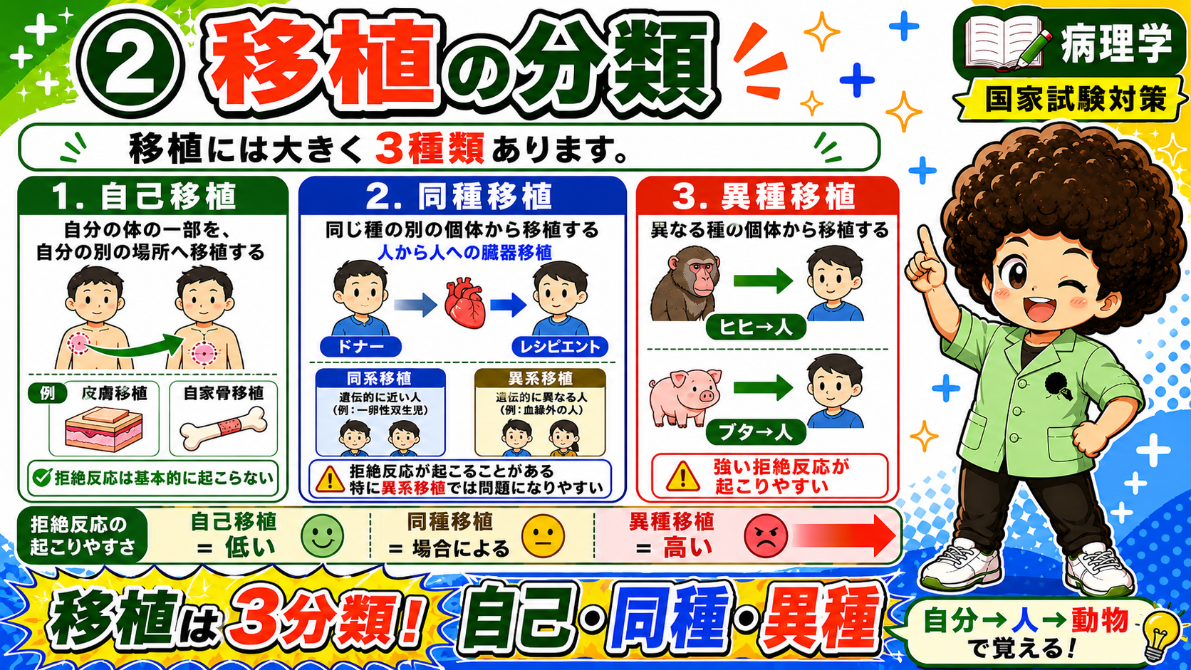 移植の3分類と拒絶反応の起こりやすさ