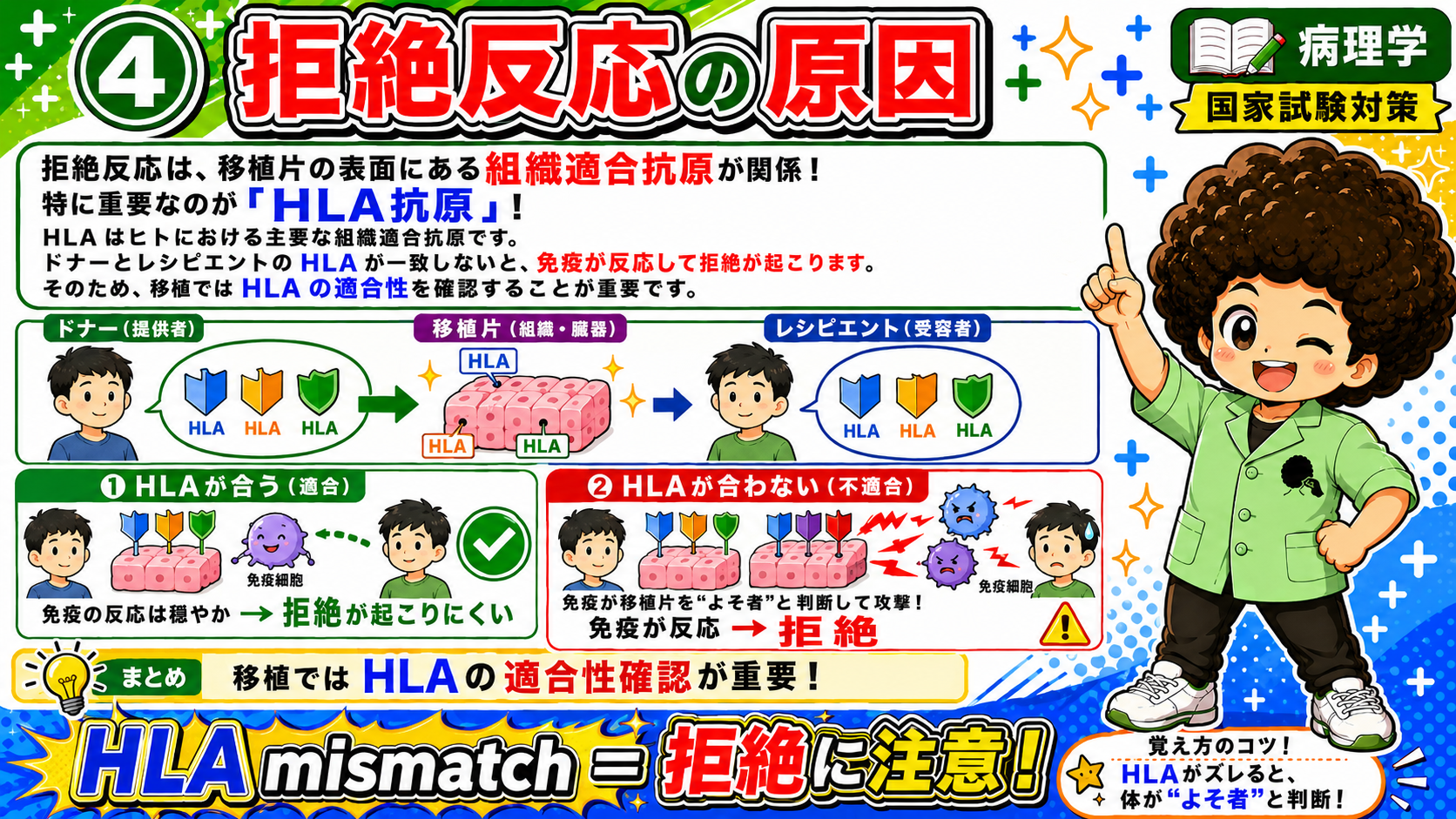 HLAミスマッチが拒絶を招く