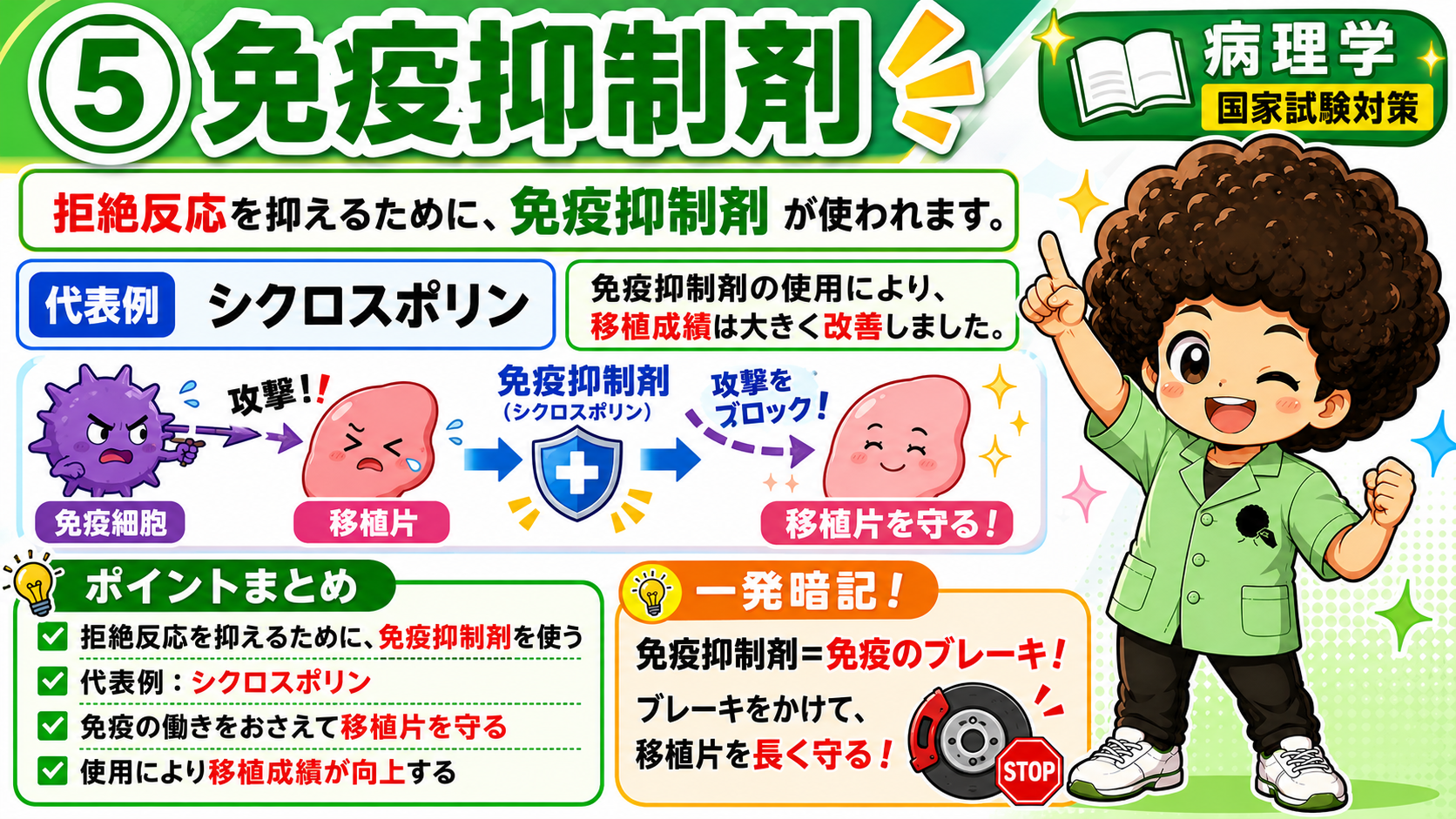 免疫抑制剤は免疫のブレーキ