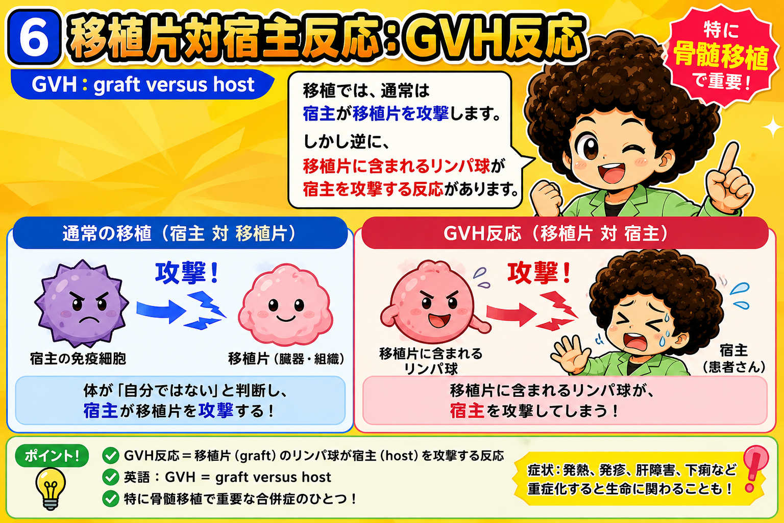 GVH反応は攻撃の向きが逆