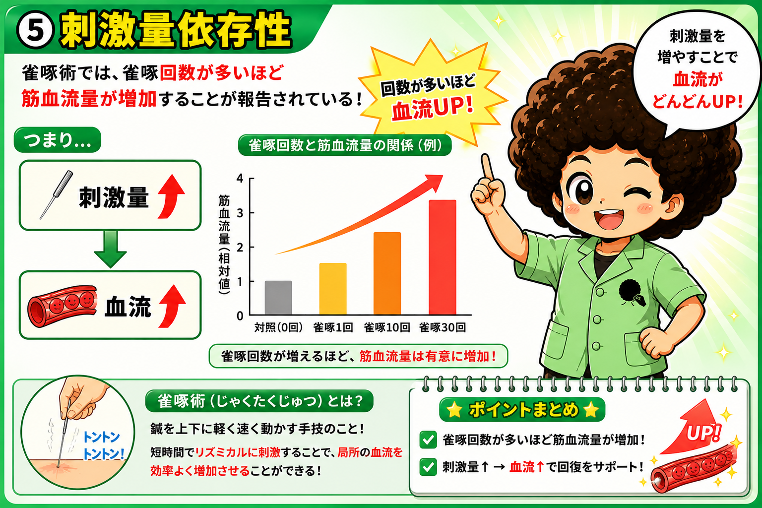 雀啄回数と筋血流量の関係（刺激量依存性）