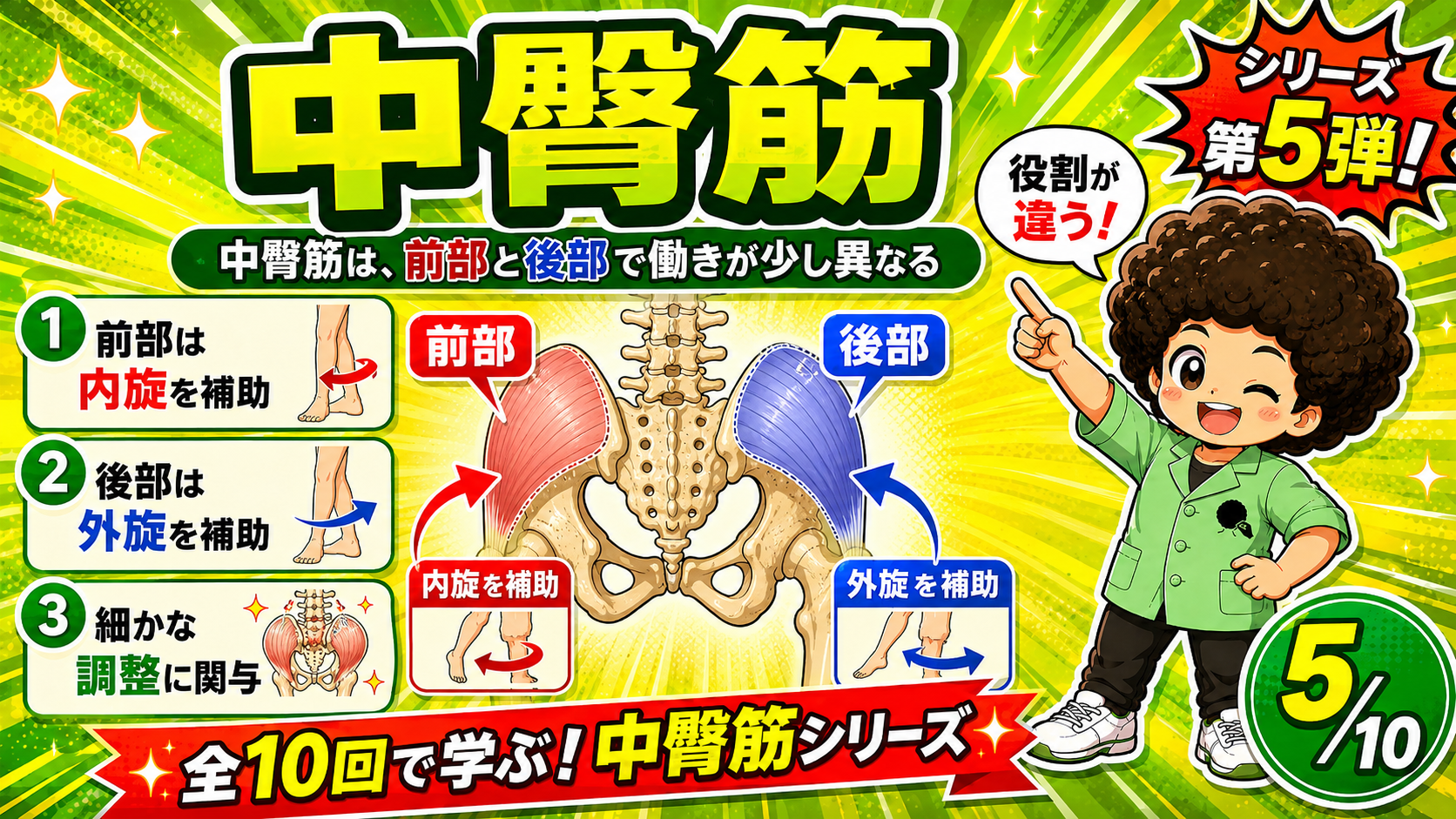 前部が内旋、後部が外旋を補助する図