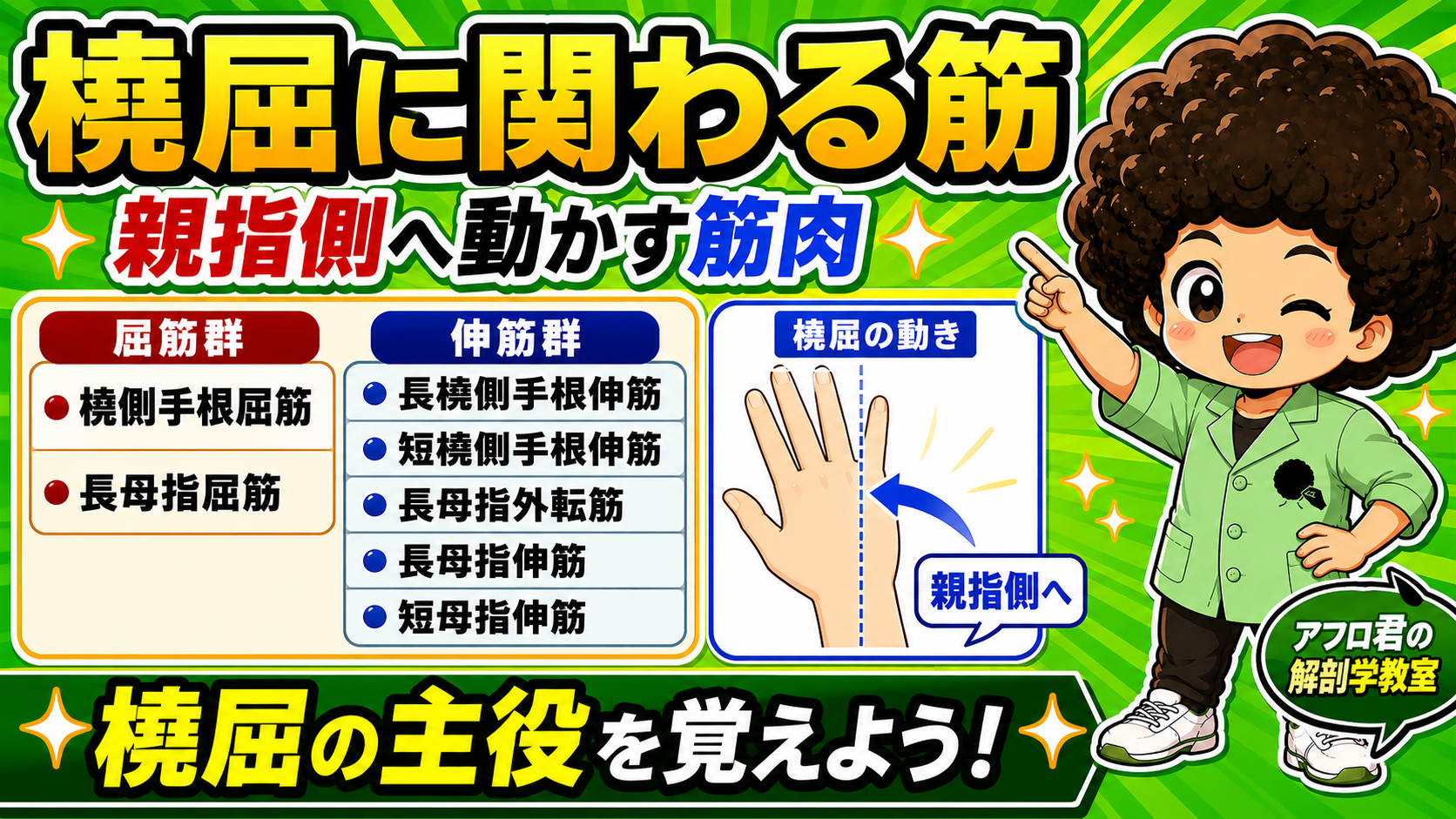 手首を親指側へ動かす橈屈のイメージ図