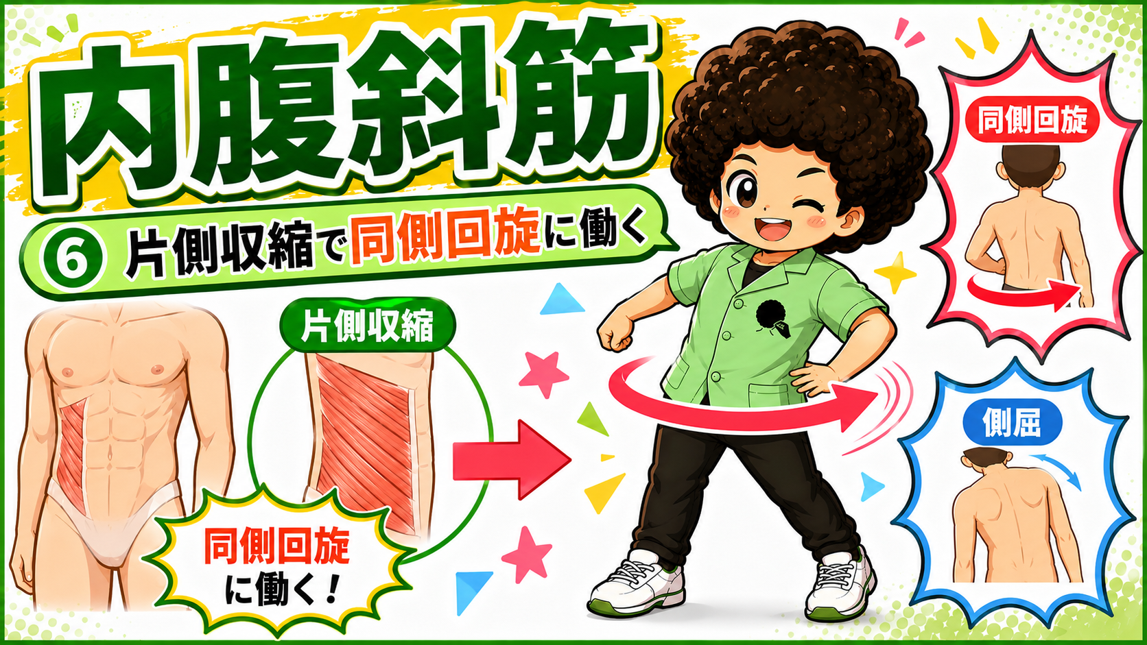 内腹斜筋の片側収縮で体幹が同側に回旋するようすを示した図