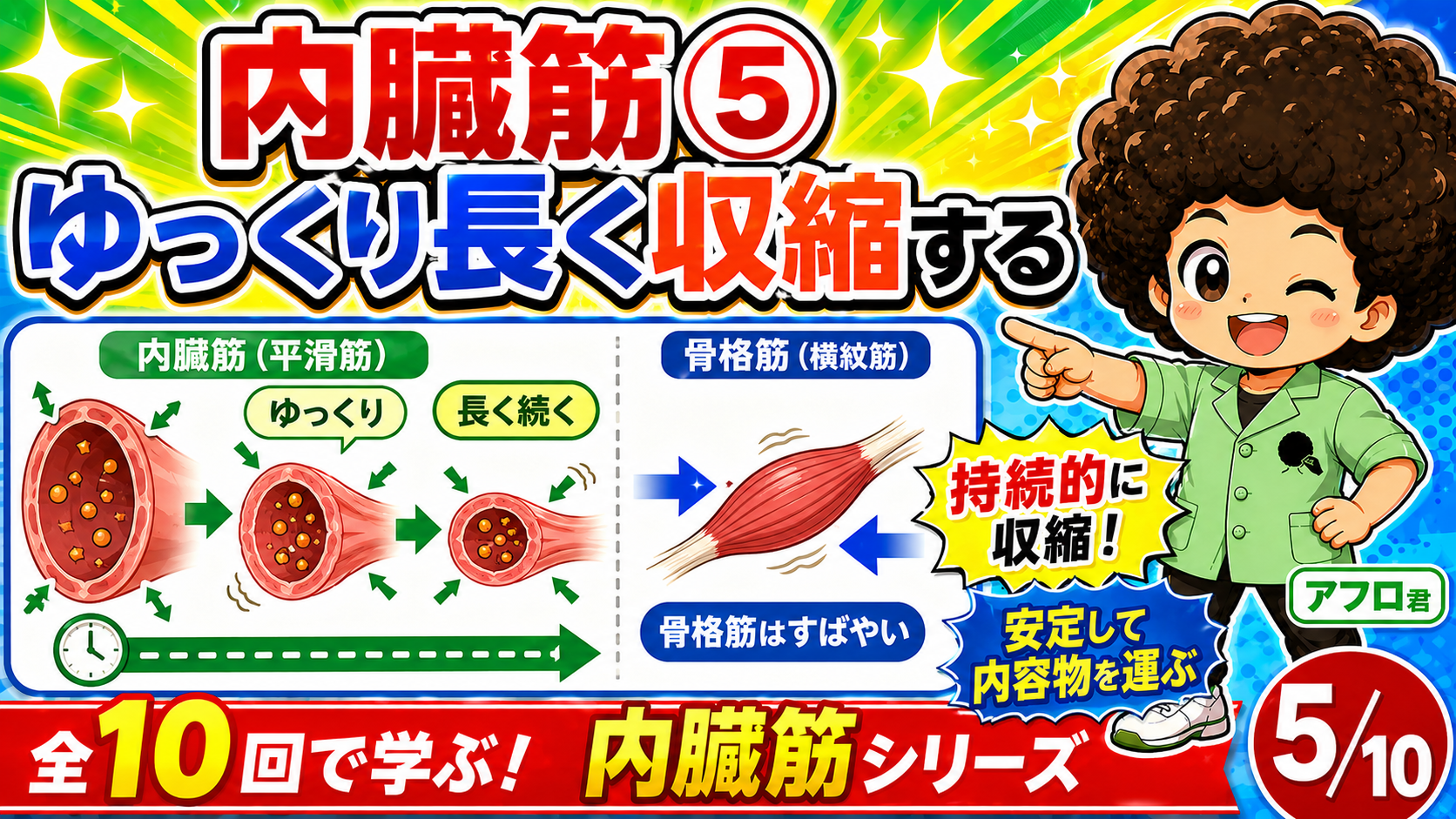 内臓筋が時間をかけて持続的に収縮する様子の図
