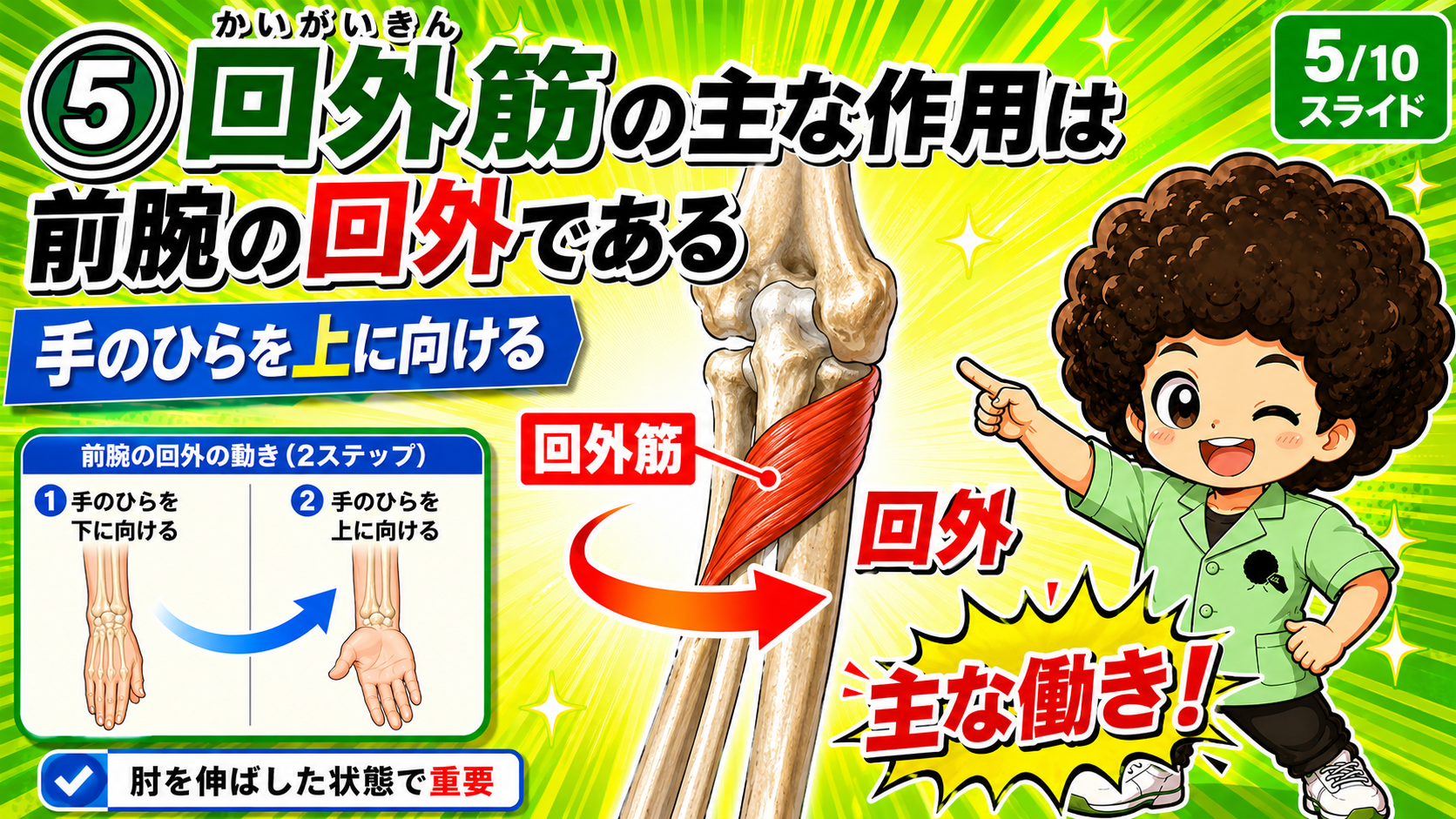 前腕を回外させる動きの図