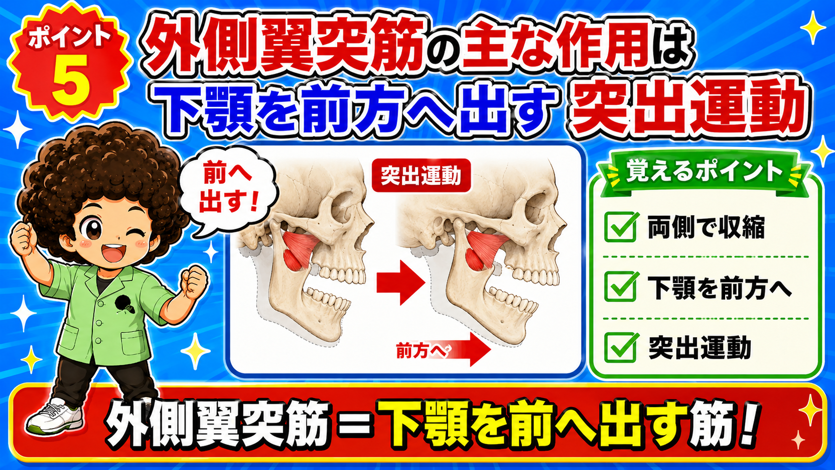 両側の外側翼突筋が収縮して下顎を前方へ突出させる動きを示した図