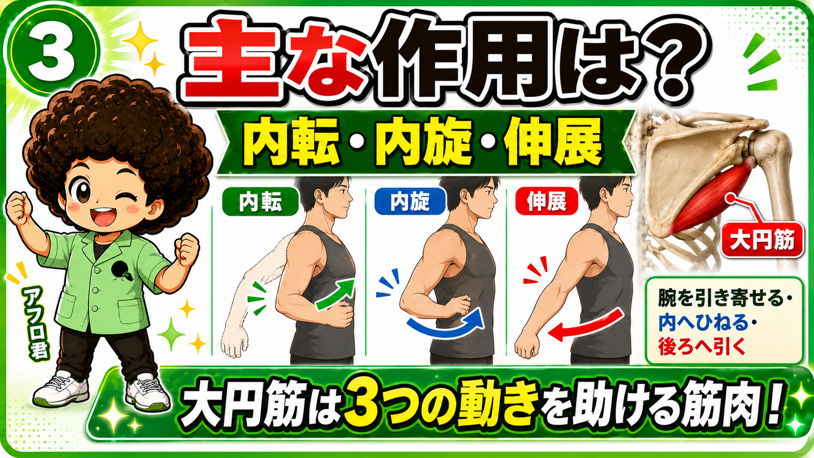 大円筋による内転・内旋・伸展を示した図