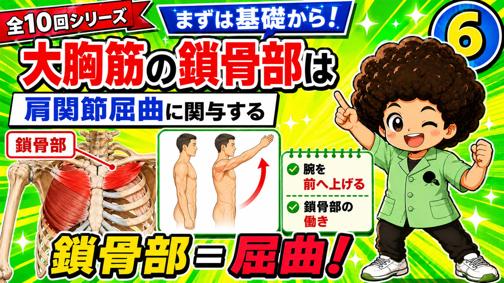 鎖骨部の屈曲作用を示した図