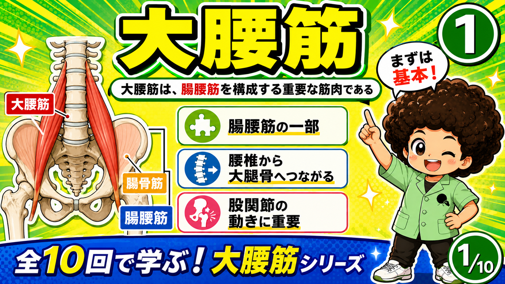 腰椎に沿って走る大腰筋を示した骨格イラストと、腸腰筋の一部・股関節の動きに重要という要点