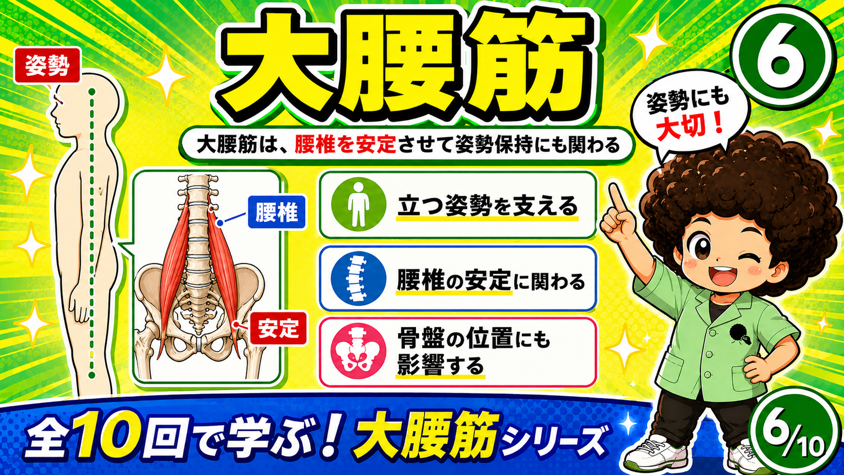 立位姿勢を支える大腰筋を示した図