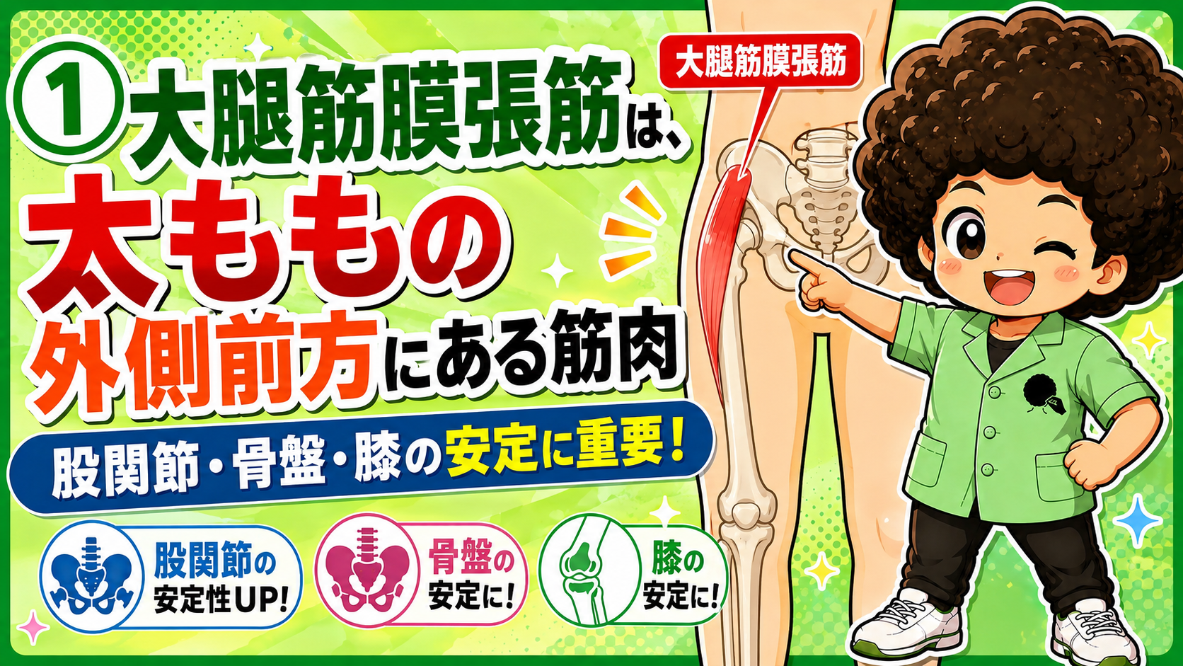 太ももの外側前方にある大腿筋膜張筋を示した図