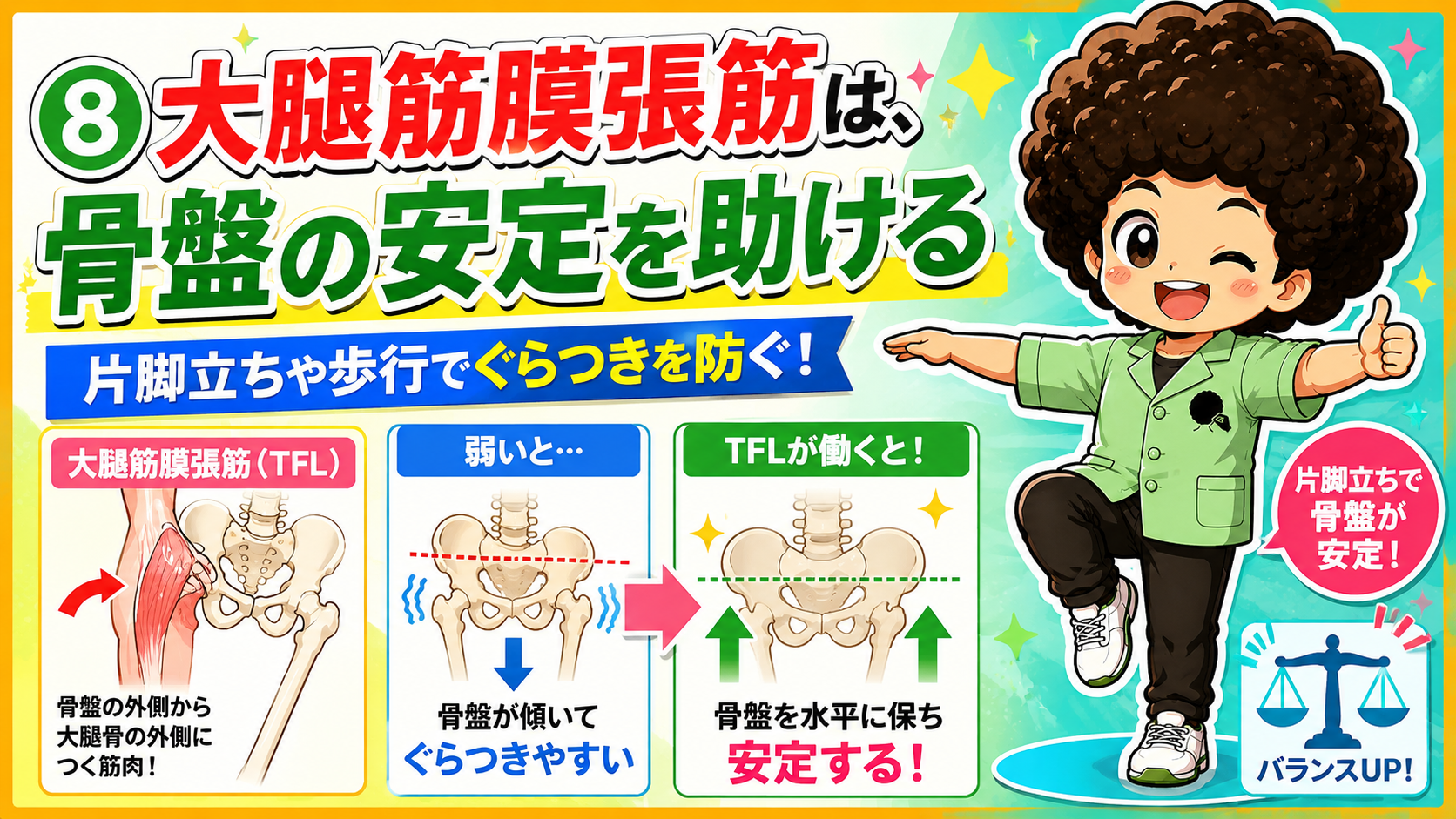骨盤と膝の安定に関わる大腿筋膜張筋の図
