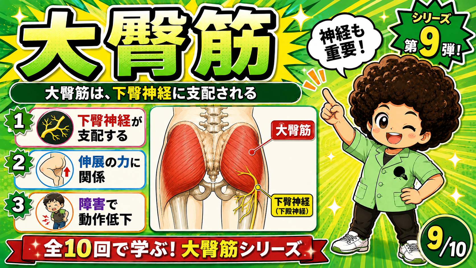 大臀筋の下方に走る下殿神経を示した図