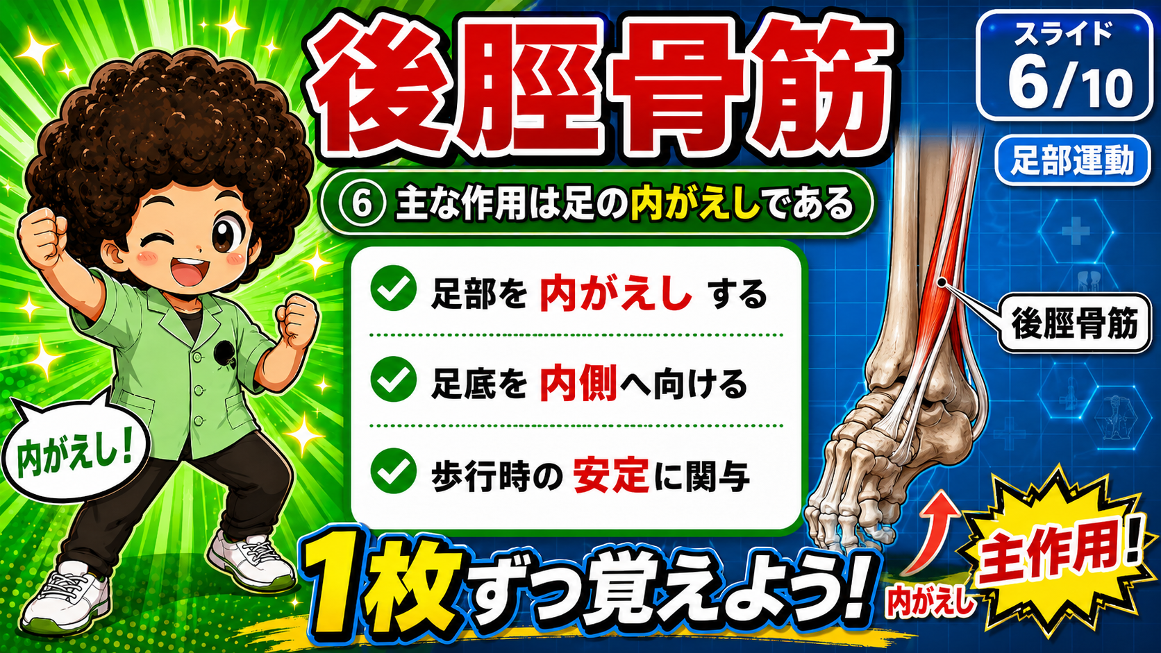 足部運動図で内がえし作用を示した図