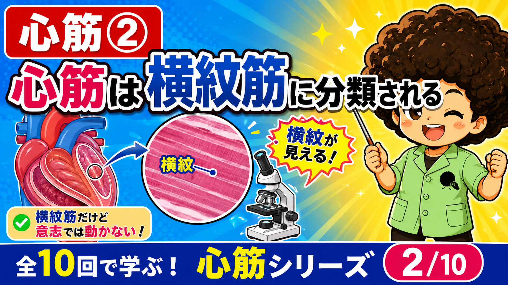顕微鏡で横紋が見える心筋の図