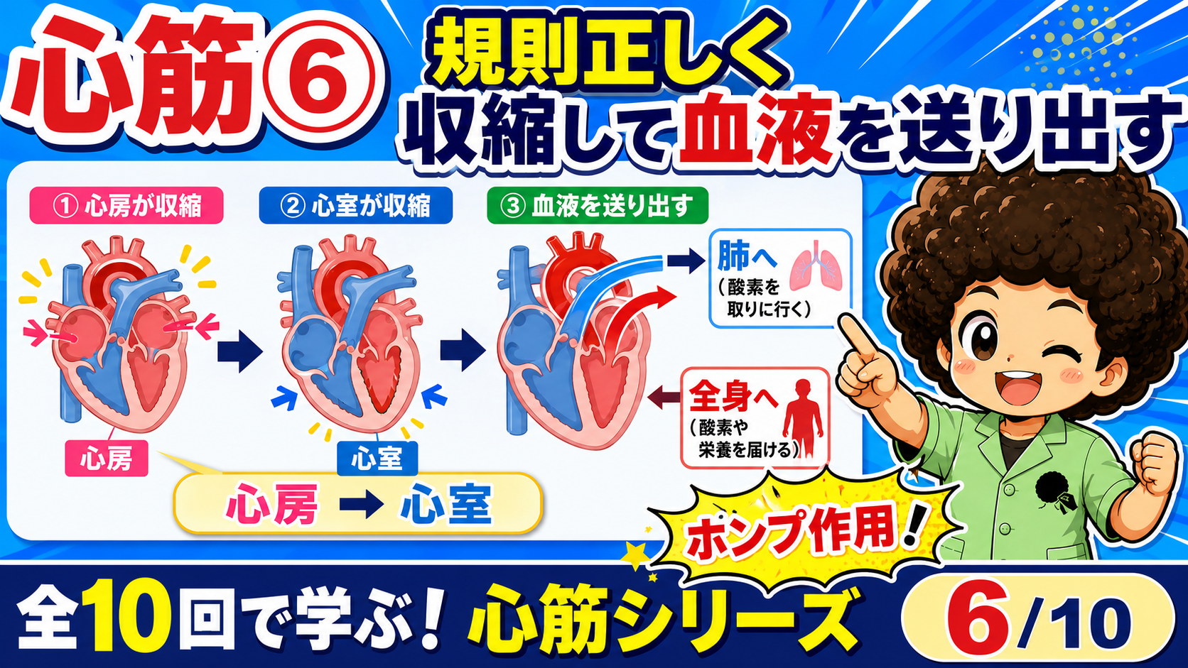 心房と心室が順に収縮して血液を送り出す図