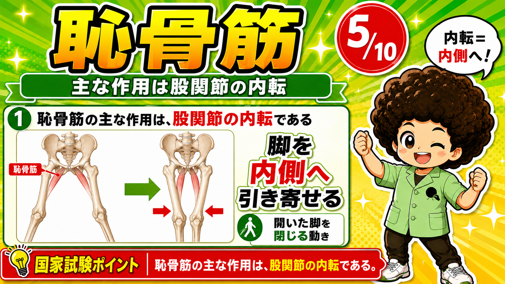股関節を内転させる恥骨筋の作用を示した図