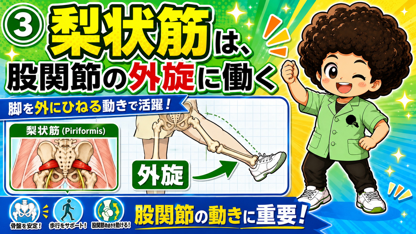 股関節を外旋させる梨状筋の動作図