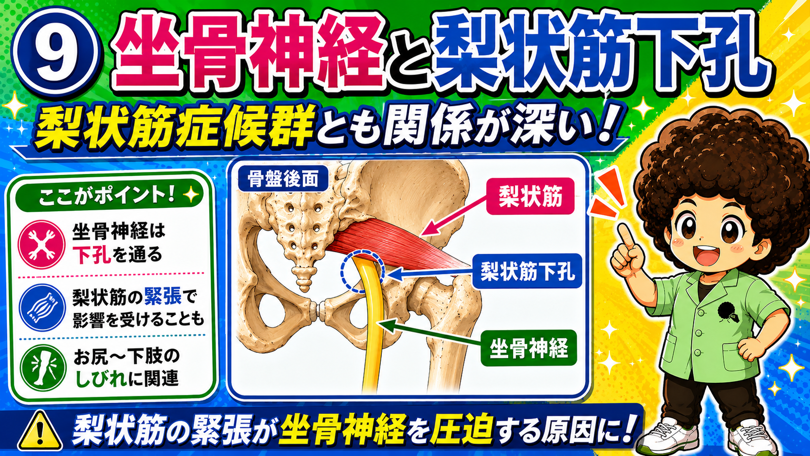 坐骨神経が梨状筋下孔を通る図