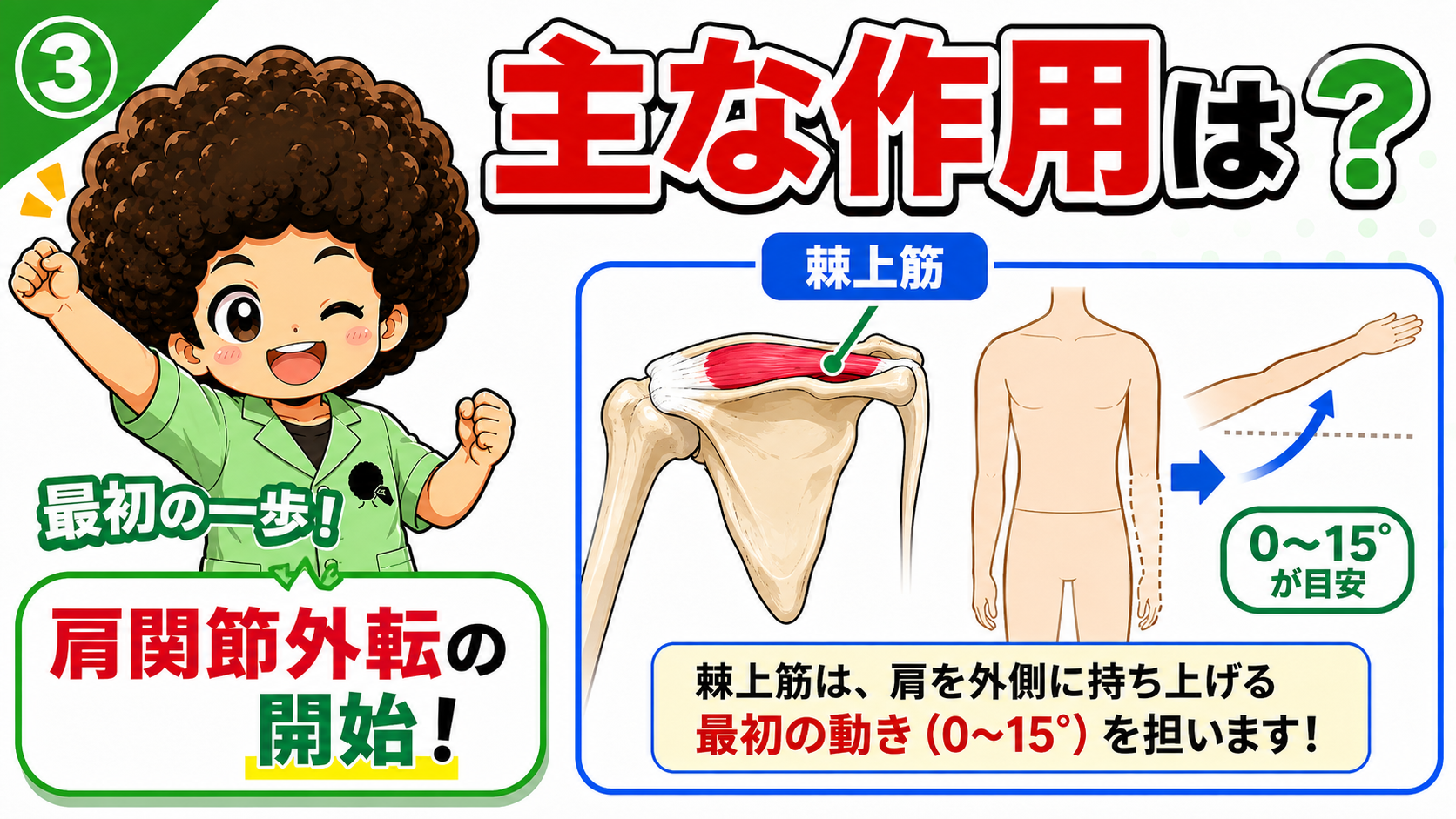 棘上筋による肩外転開始を示した図