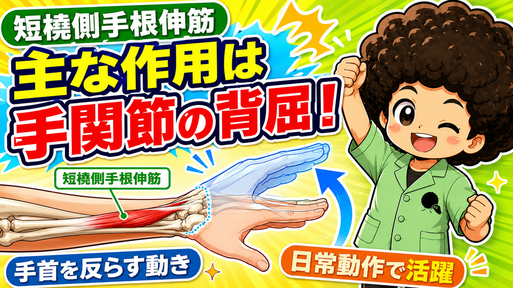 手関節を背屈させる動きの図