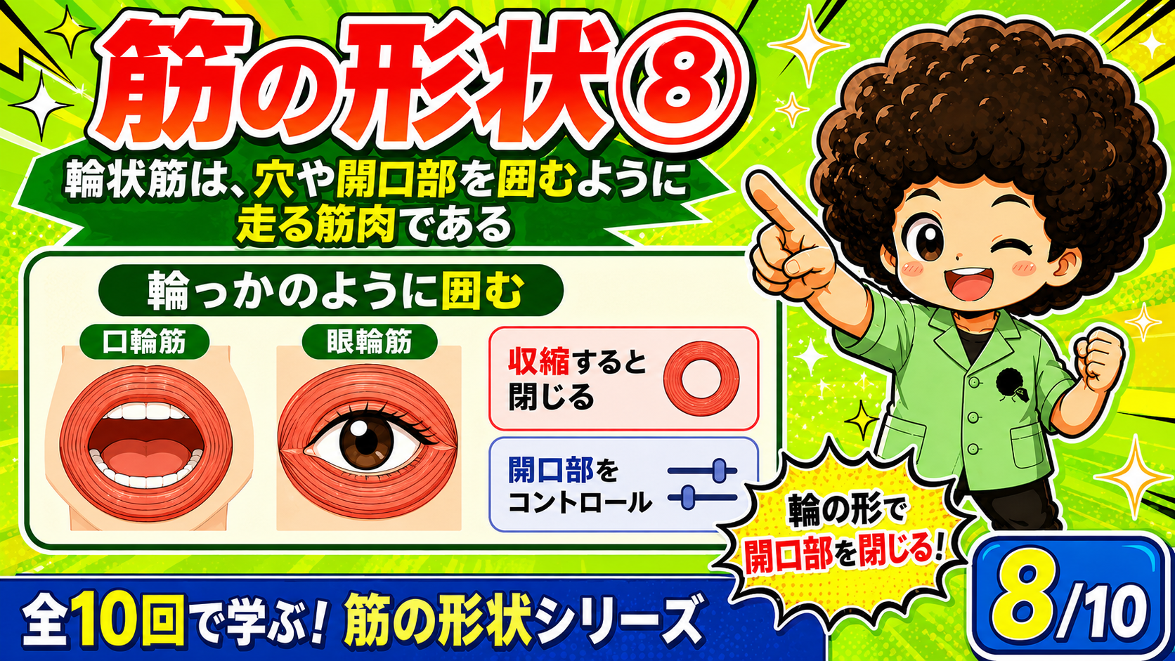 穴や開口部を輪のように囲む輪状筋の図