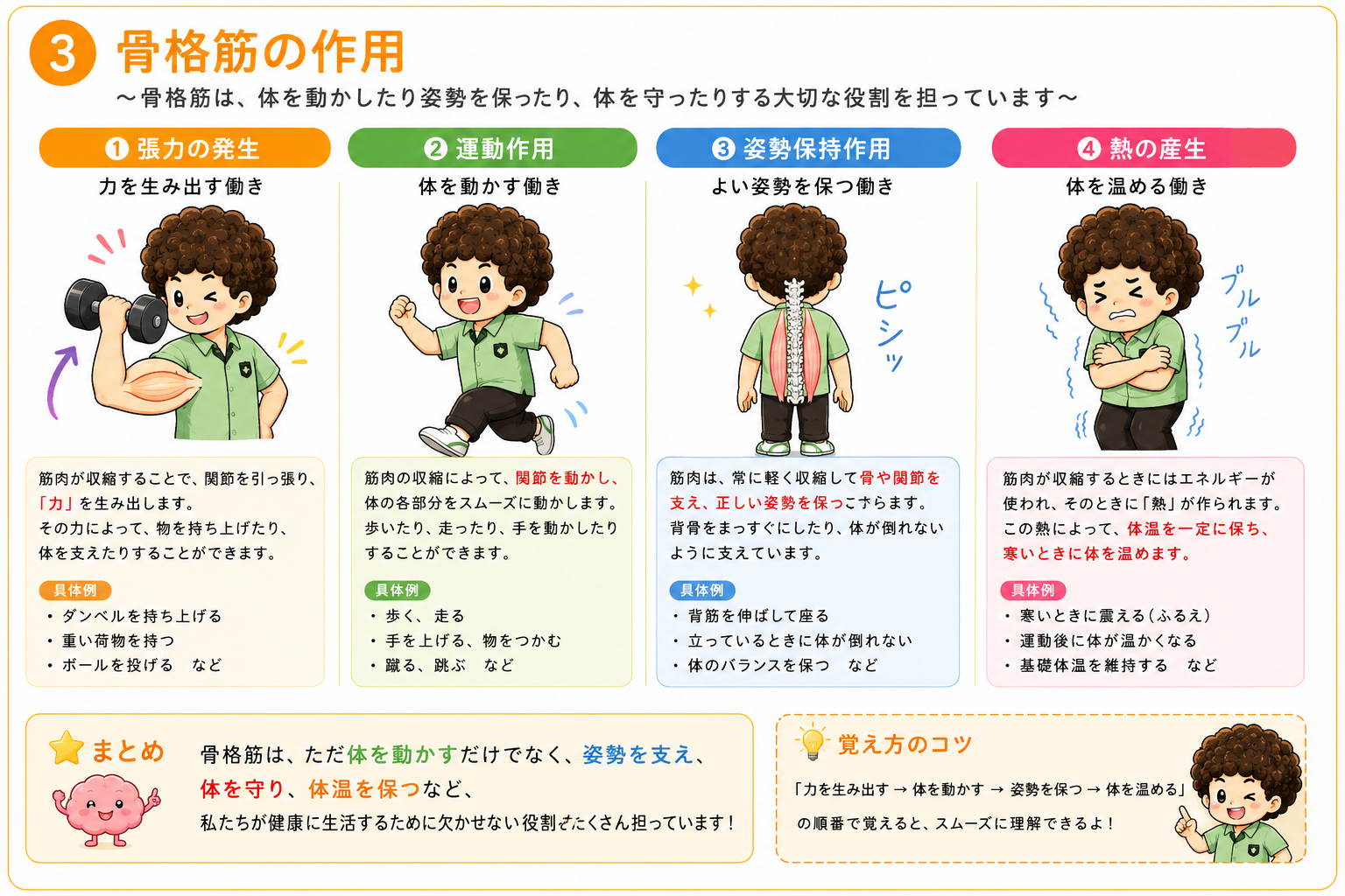 張力の発生・運動作用・姿勢保持作用・熱の産生を示す骨格筋の作用の図