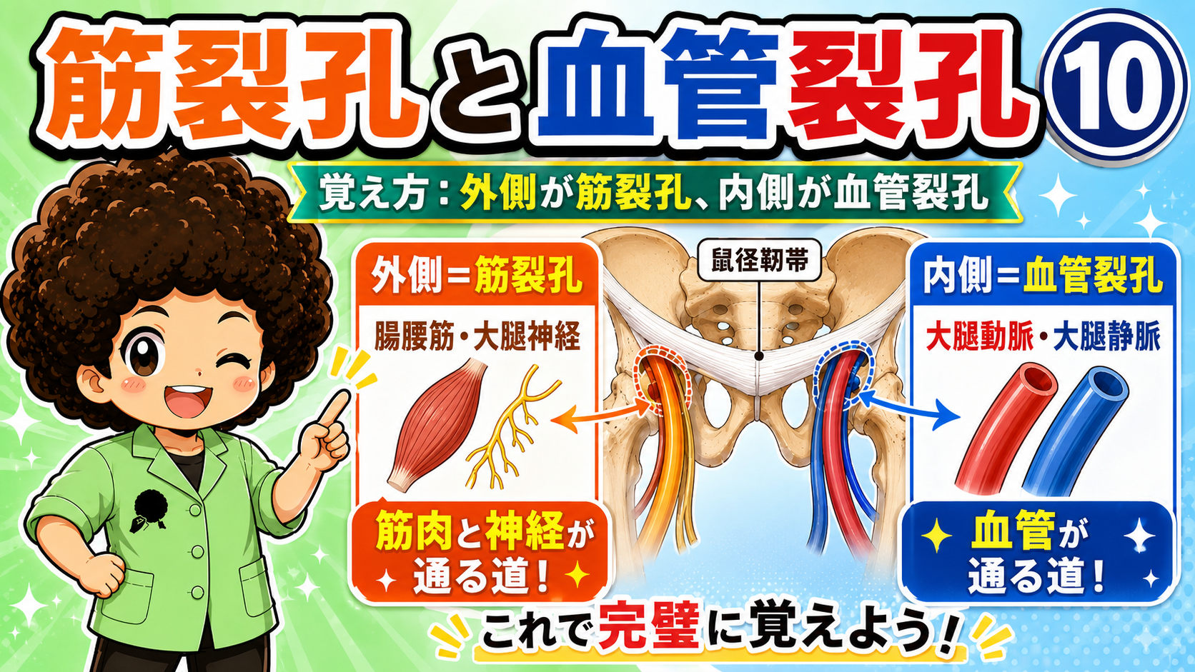 外側の筋裂孔と内側の血管裂孔の覚え方を示すイラスト