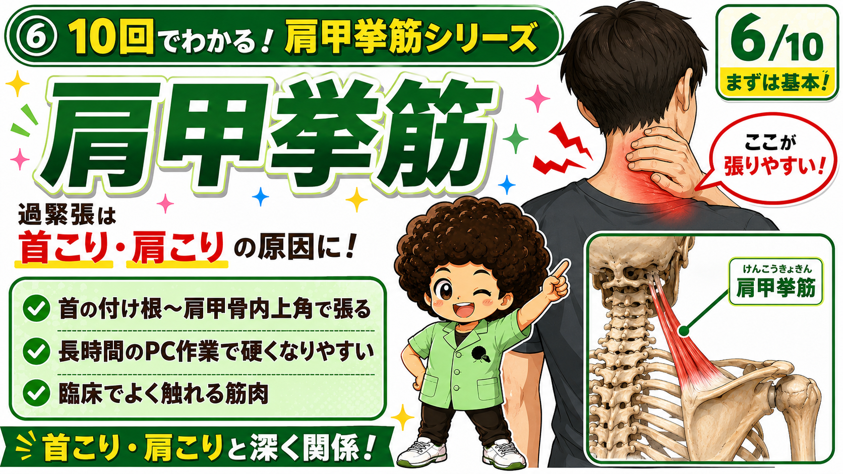 肩甲挙筋の過緊張で首の付け根から肩甲骨内上角が張る様子を示した図