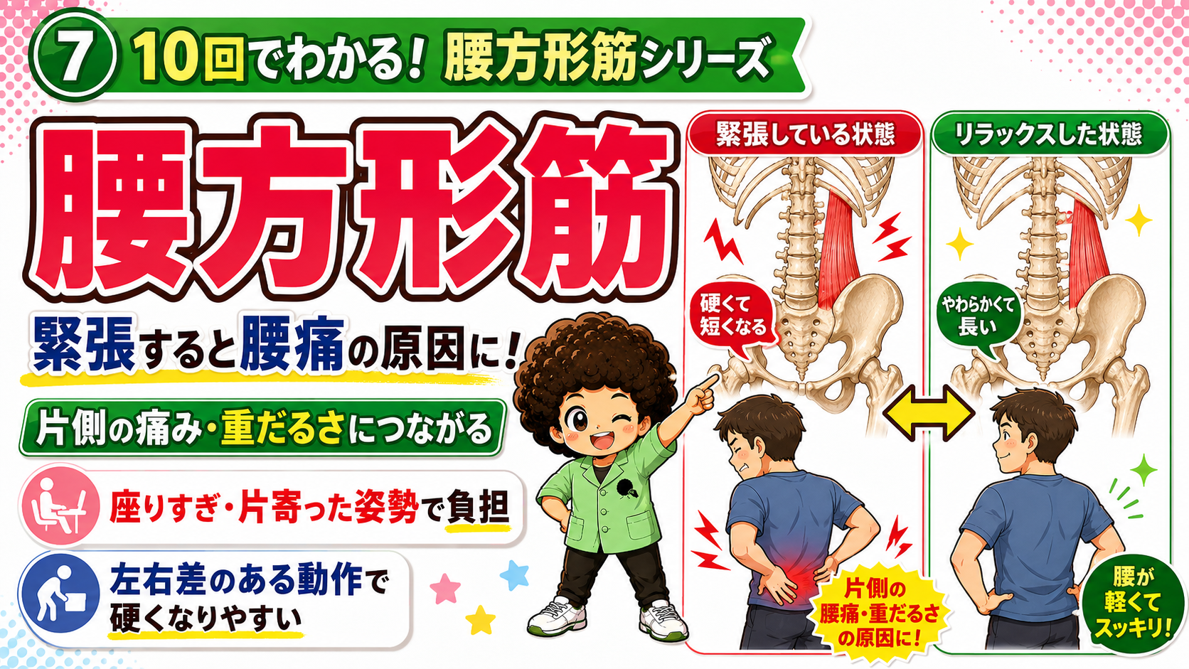 緊張して硬く短くなった腰方形筋と、やわらかく長いリラックス状態を比較した図