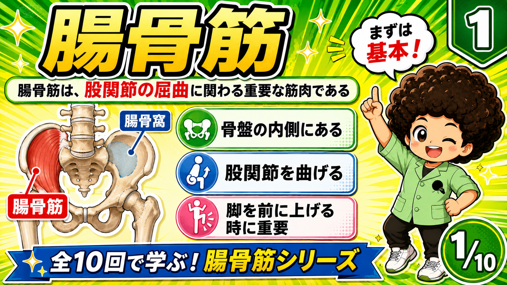 骨盤の内側にある腸骨筋を示した骨格イラストと、股関節を曲げる・脚を前に上げる要点