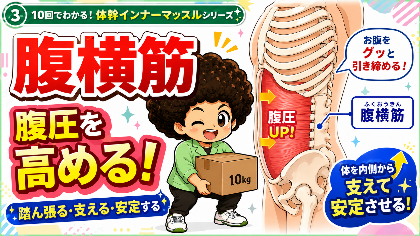 腹圧を高めてコルセットのように体幹を安定させる腹横筋の図
