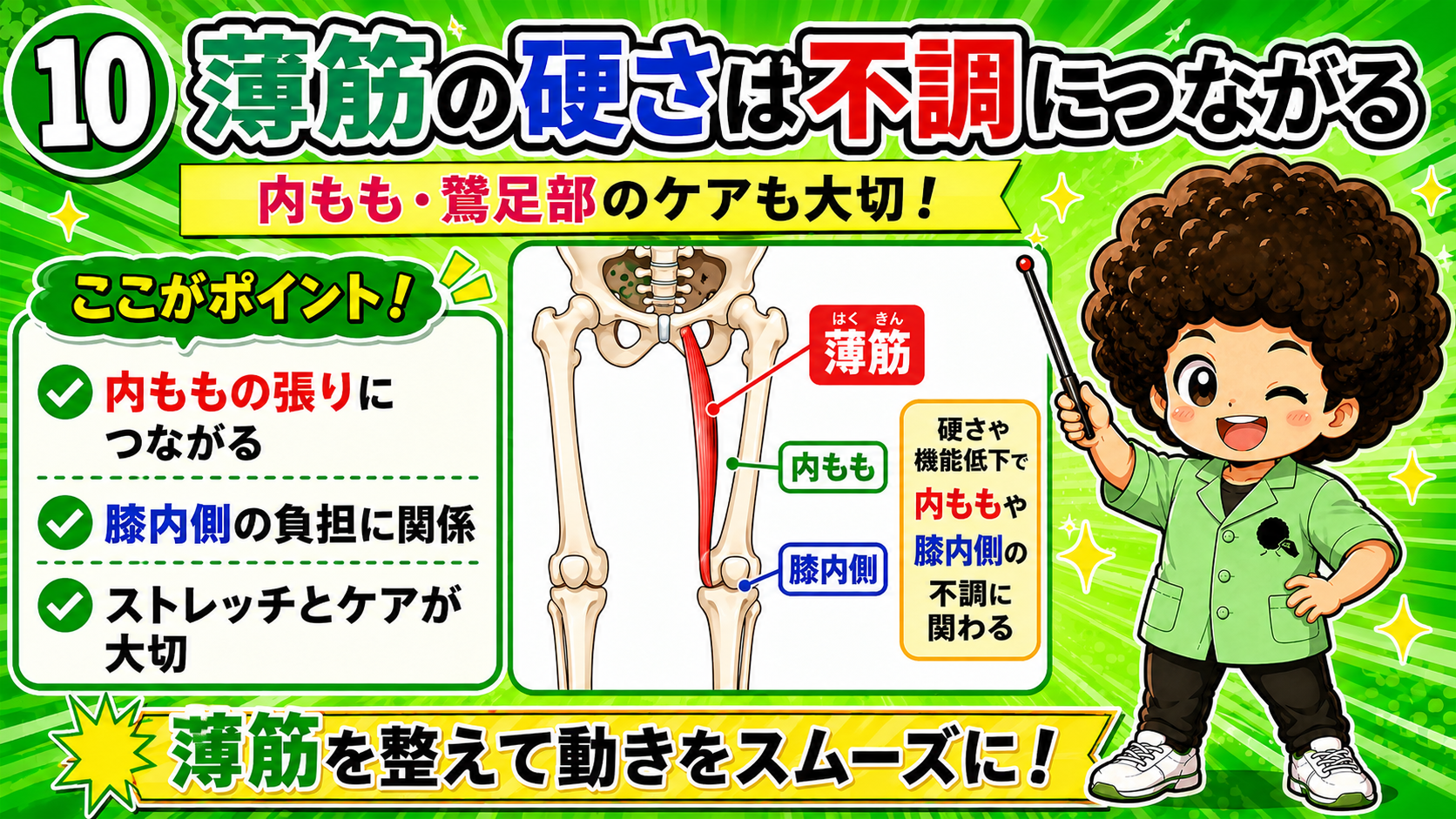 内ももと膝内側のケアが重要な薄筋を示した図