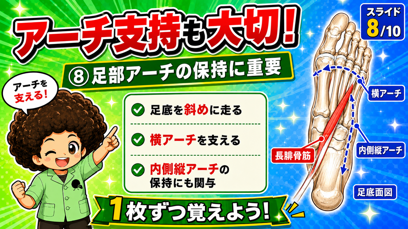 長腓骨筋によるアーチ支持を示した足底面図