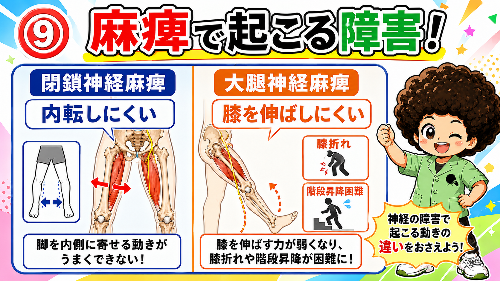 閉鎖神経麻痺と大腿神経麻痺で生じる障害を示すイラスト