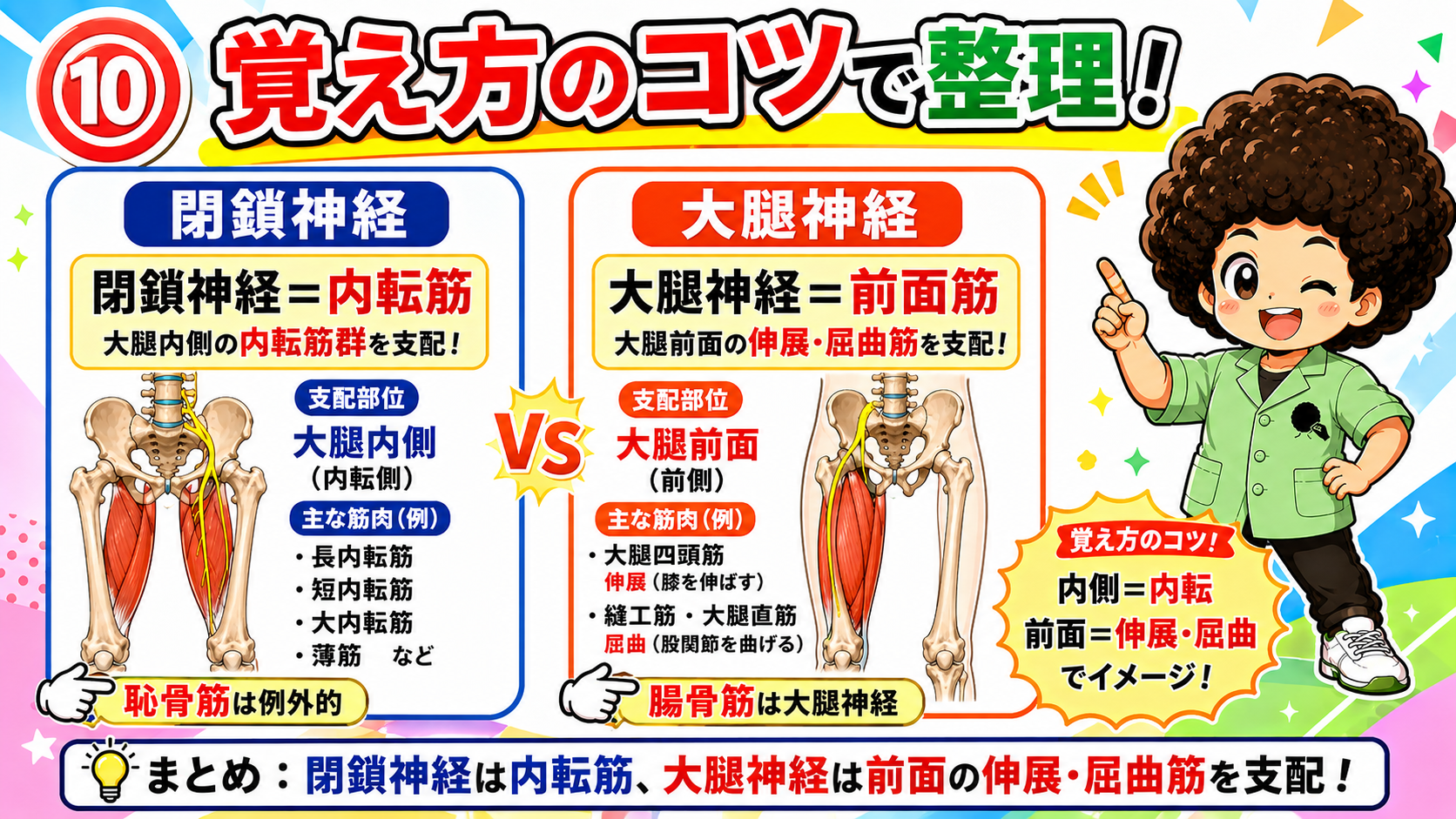閉鎖神経と大腿神経の支配筋の覚え方を示すイラスト