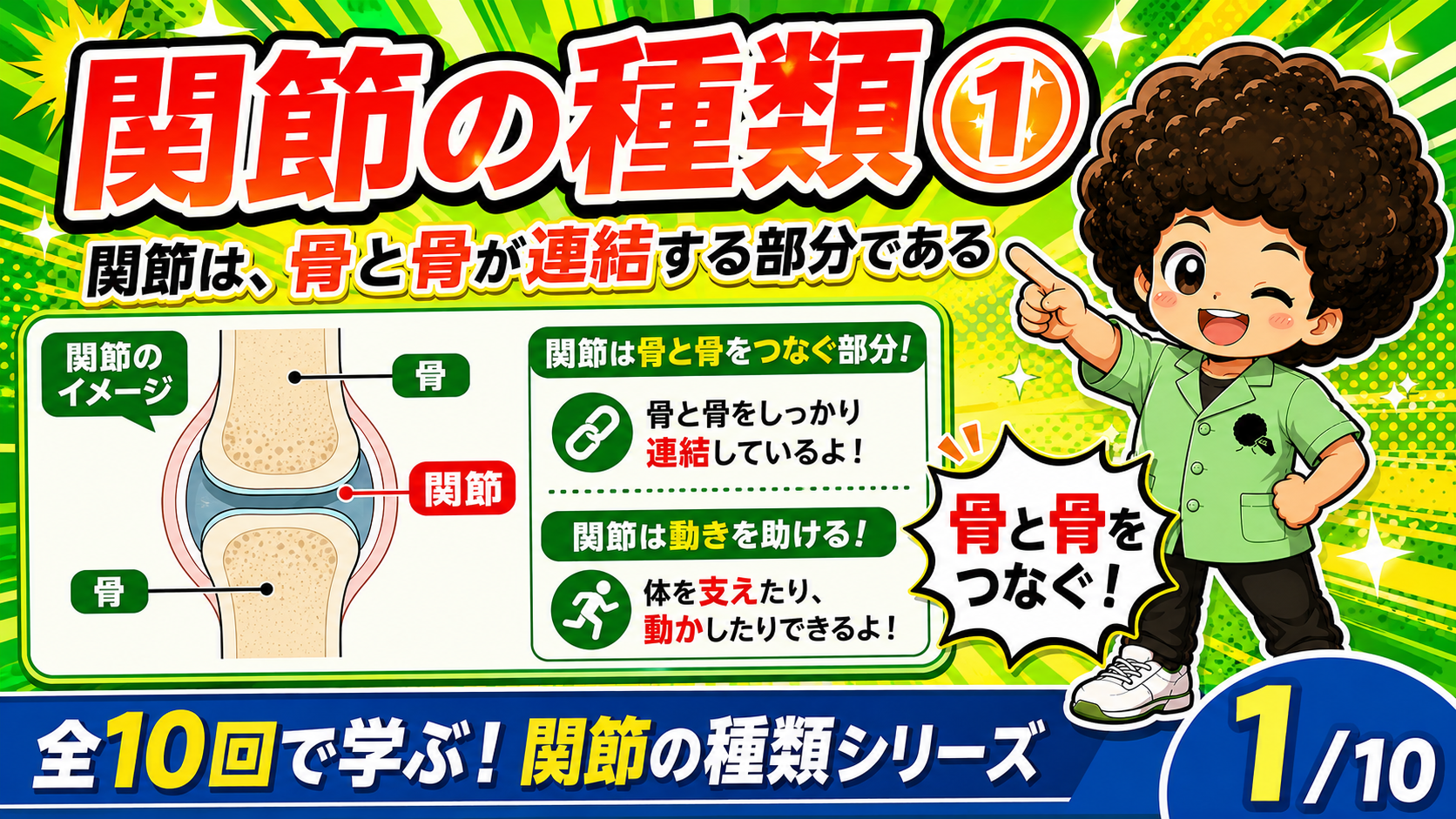関節が骨と骨を連結し体を支え動かすことを示す図