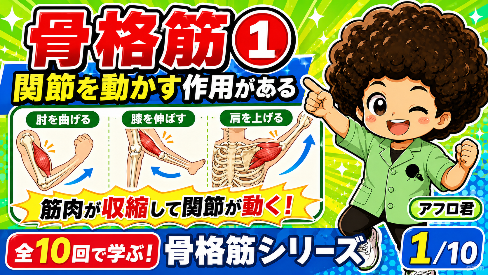 肘を曲げる・膝を伸ばす・肩を上げるなど関節を動かす骨格筋の作用を示す図