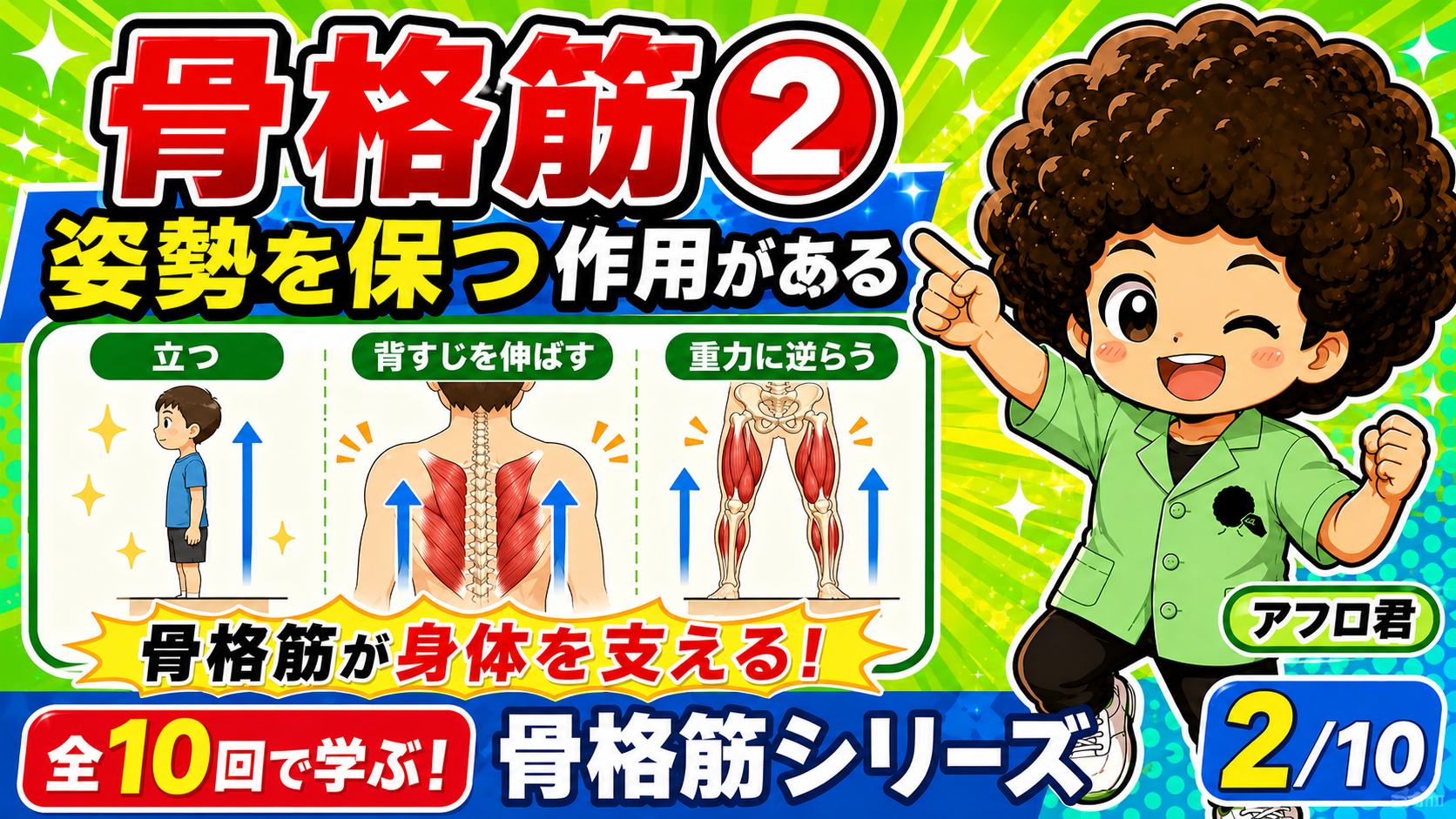 骨格筋が身体を支え姿勢を保つ作用の図