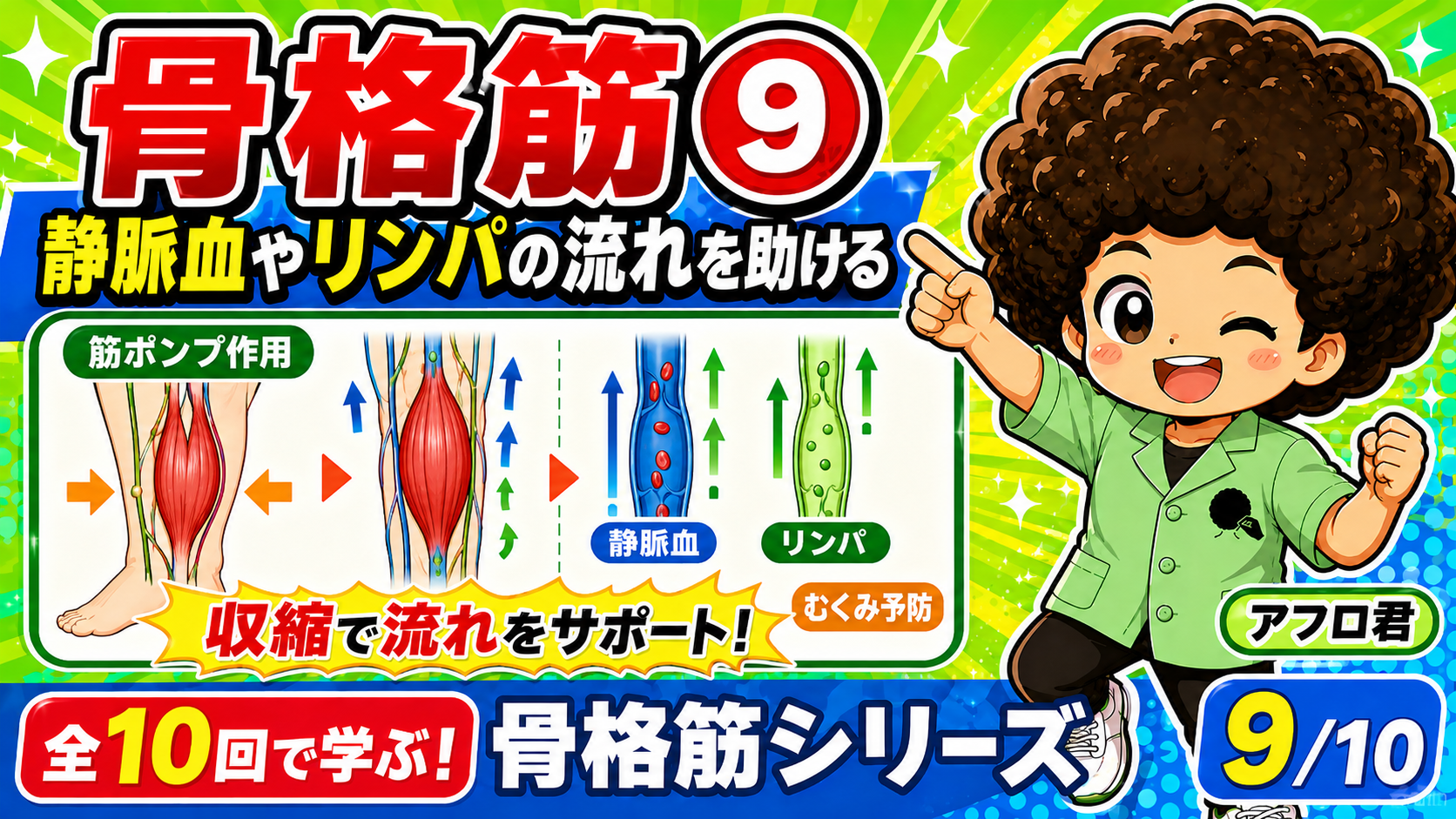 骨格筋の筋ポンプ作用で静脈血やリンパの流れを助ける図