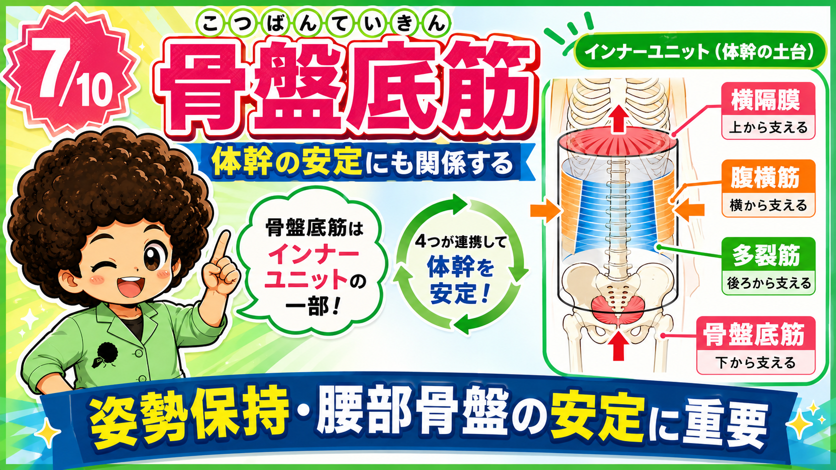 横隔膜・腹横筋・多裂筋・骨盤底筋が連携し体幹を安定させる図